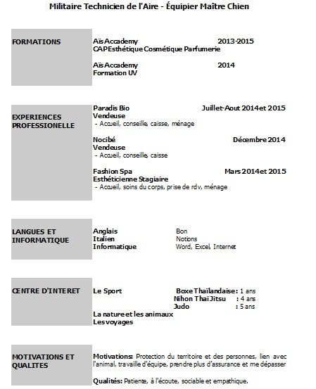 Exemple de CV militaire technicien de l'air